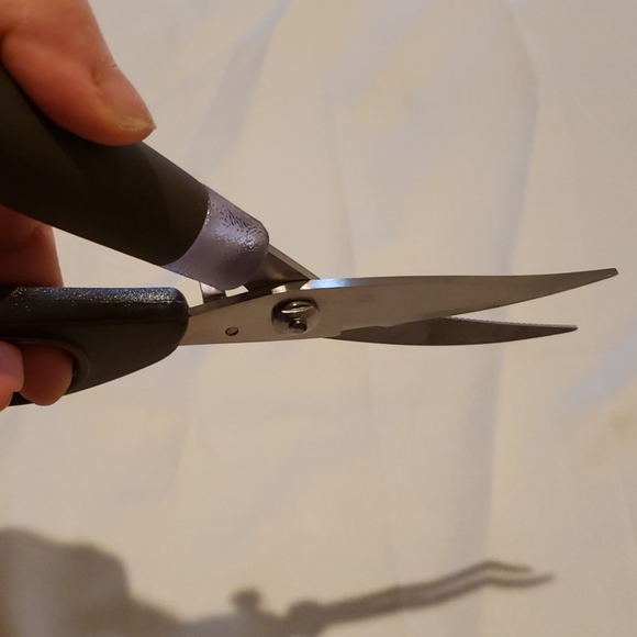 Scissor - Picture 11 of 16